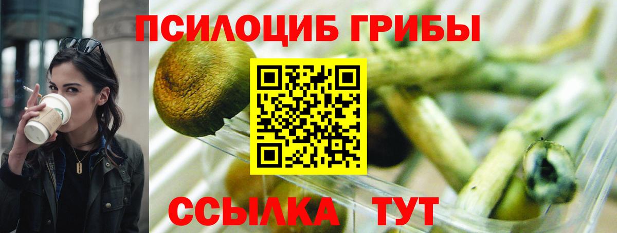 Галлюциногенные грибы MAGIC MUSHROOMS  Вход с VPN  Галлюциногенные грибы GOLDEN TEACHER  Гуково 