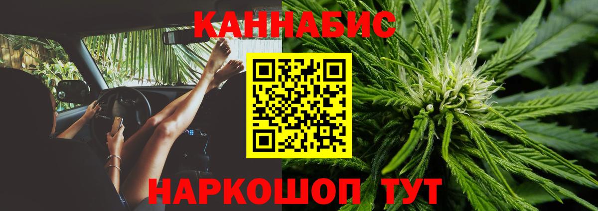 Каннабис SATIVA & INDICA Гуково
